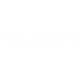cantori