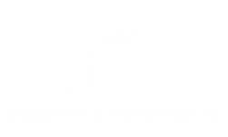 XPED INTERNATIONAL