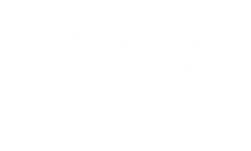 Punto System