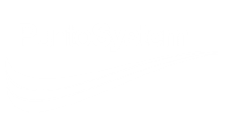 PUNTO SYSTEM s.p.a.